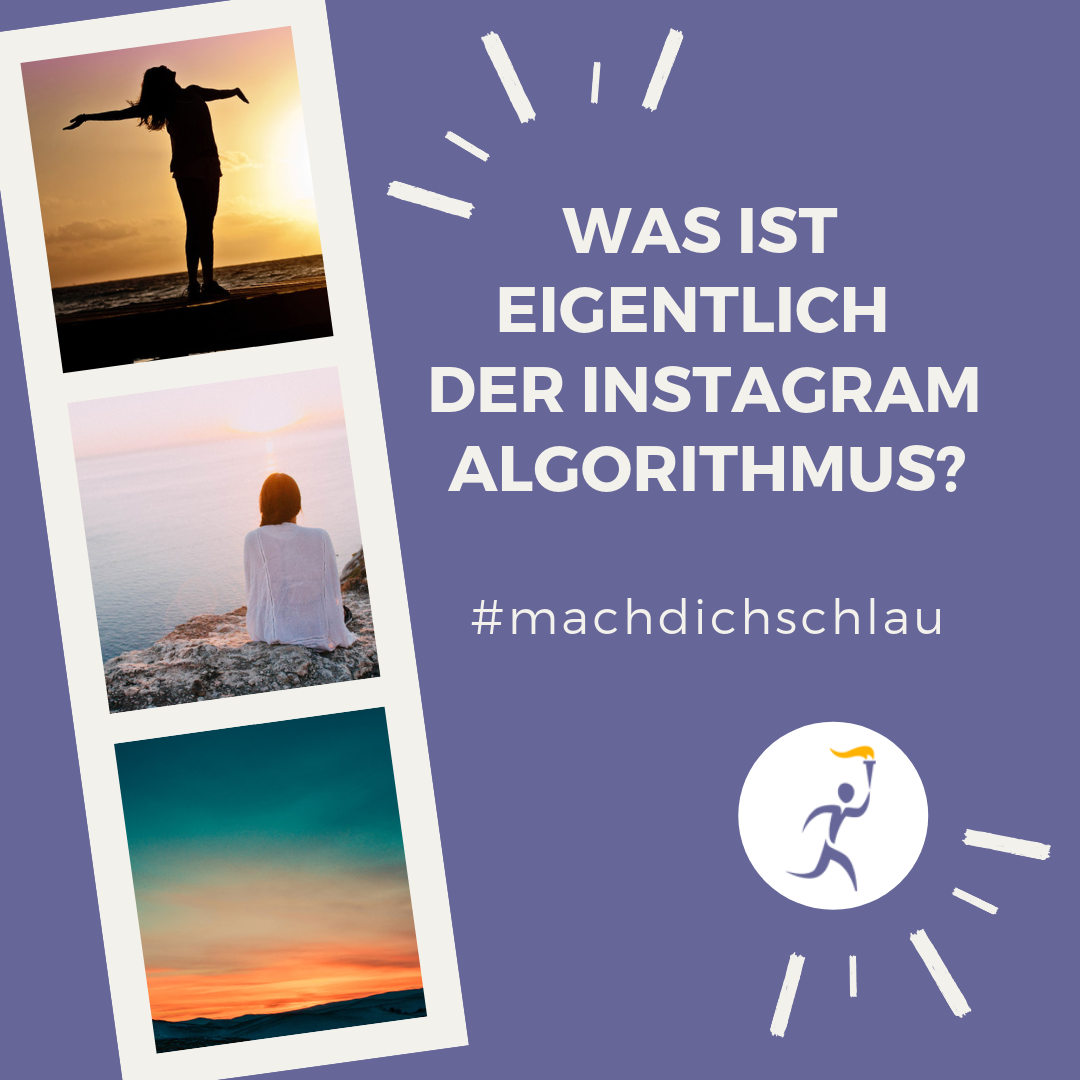 Instagram Algorithmus Schellinger Social Media Beratung